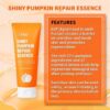 Shiny Pumpkin Repair Essence